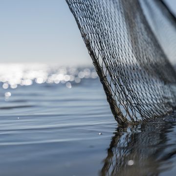 listsylt, schleswig holstein, germany september 18, 2018 fishing net in the water on a sunny day