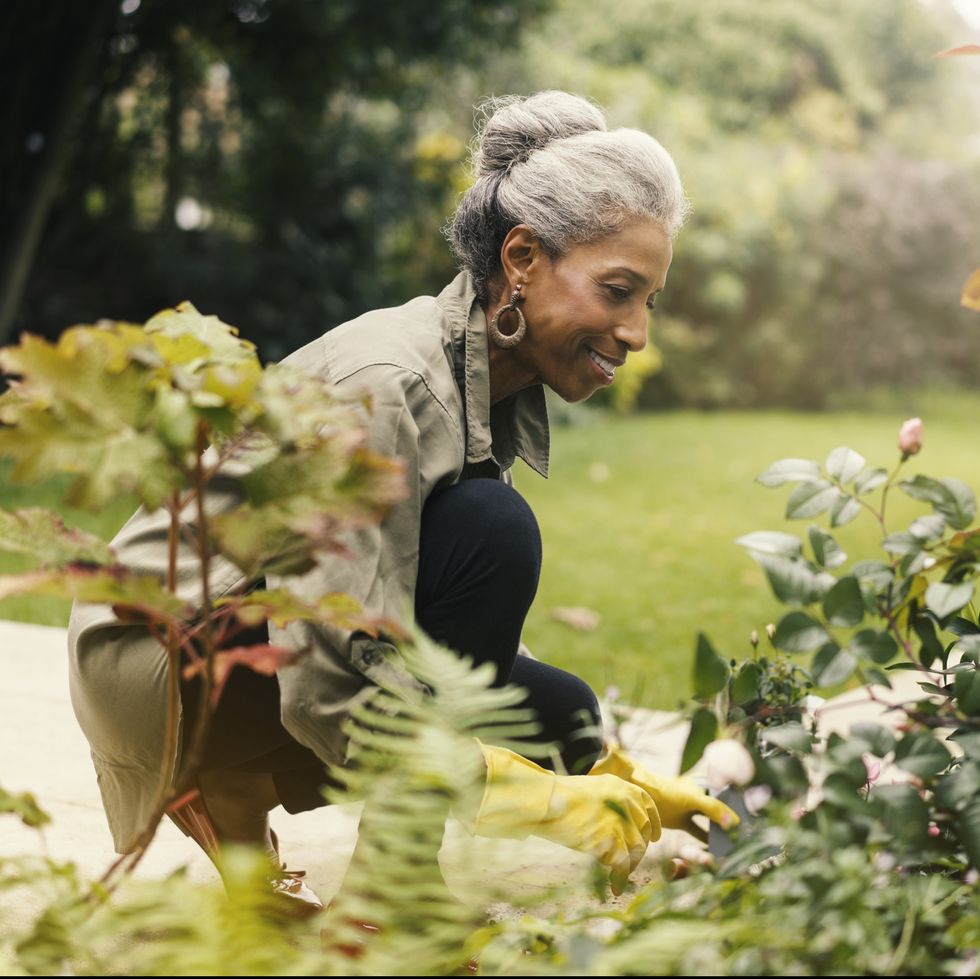 retired senior woman gardening in back yard