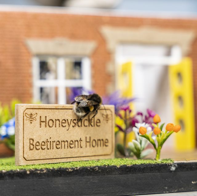 tiny retirement home for bees launches in the uk for a very good reason