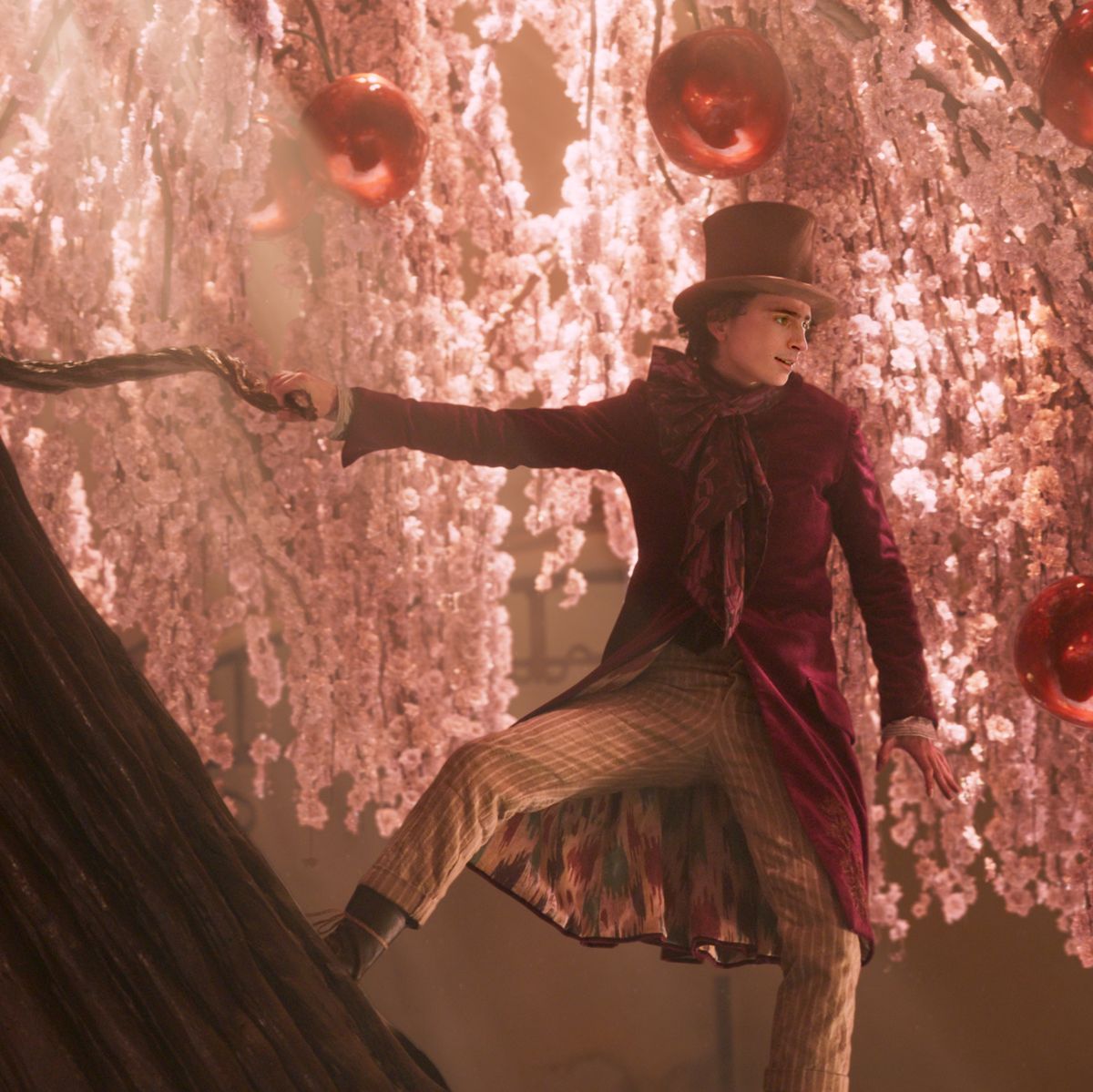 Wonka trailer: Timothée Chalamet reveals take on Roald Dahl's chocolatier