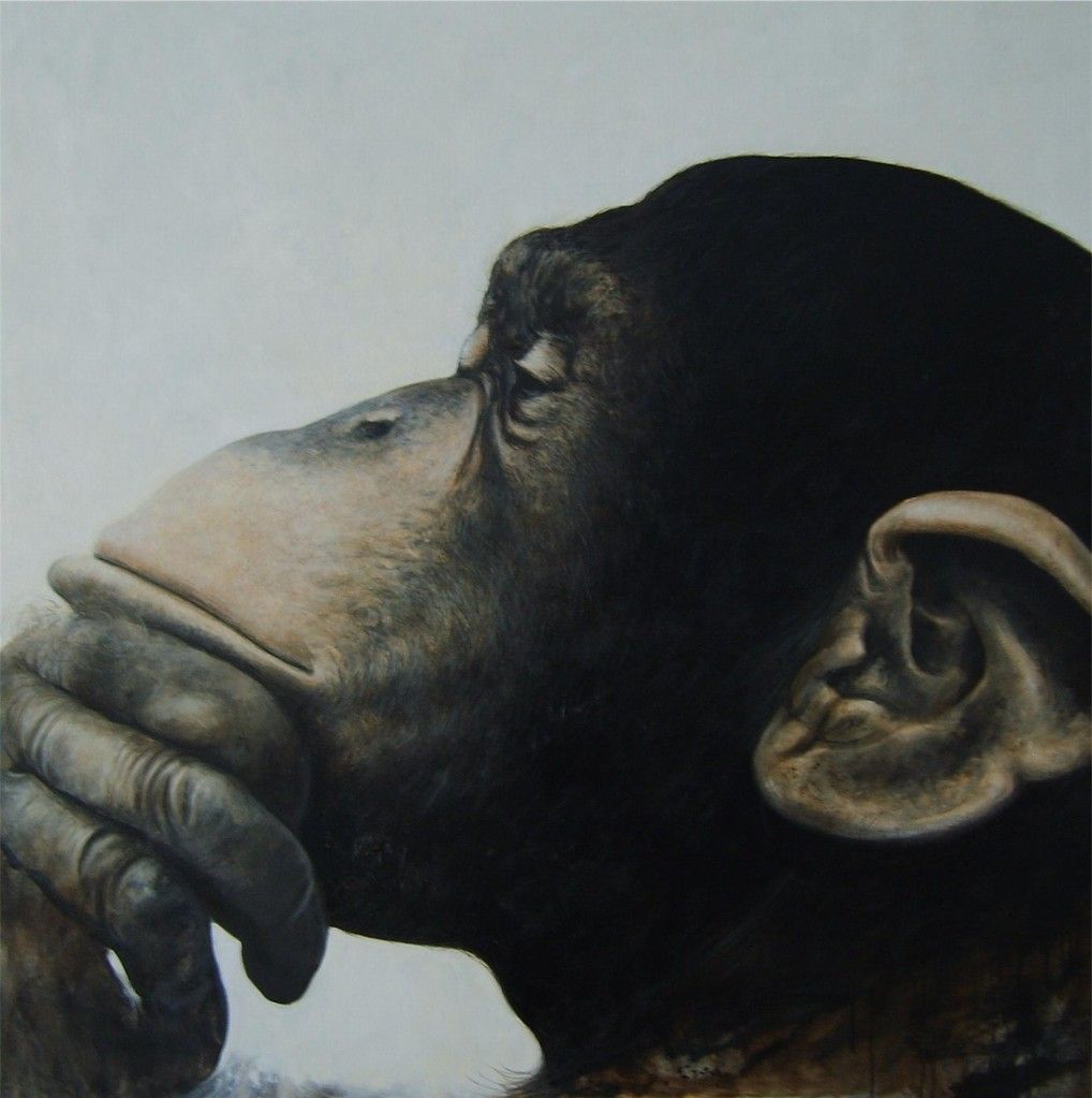 Head, Nose, Common chimpanzee, Wrinkle, Primate, Terrestrial animal, Snout, Temple, Art, Jaw, 