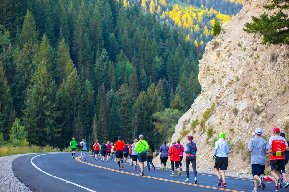 group of runners on a curved road surrounded by trees big cottonwood run revel