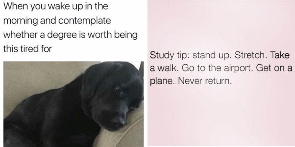 16 revision memes that prove the struggle is real 