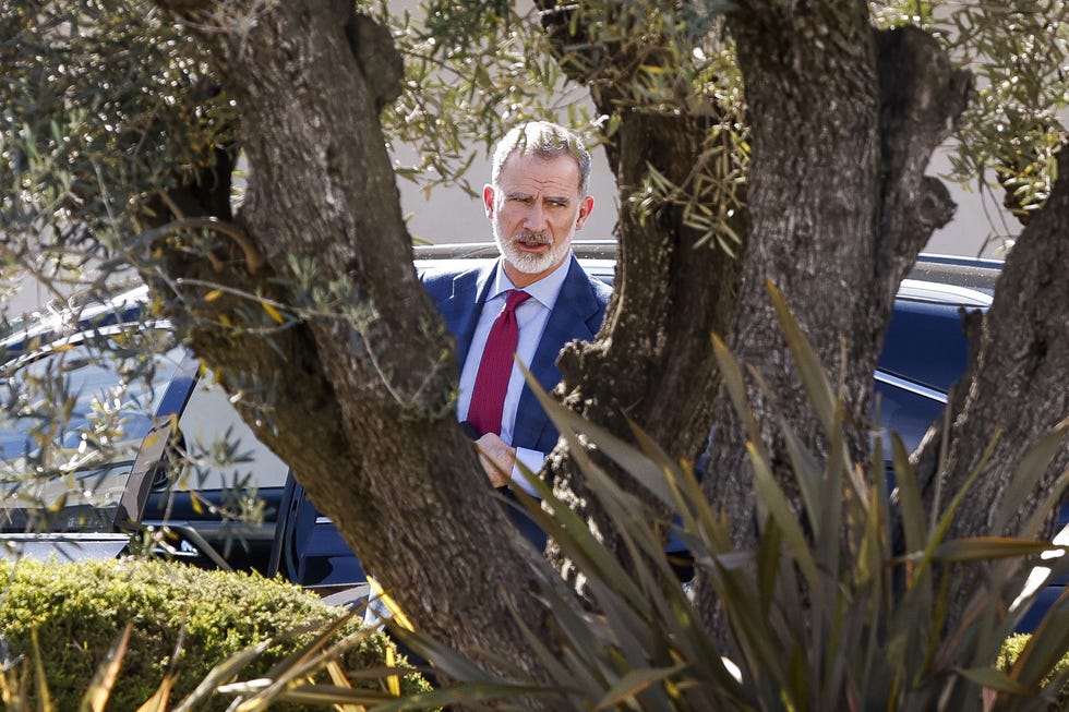 rey felipe vi