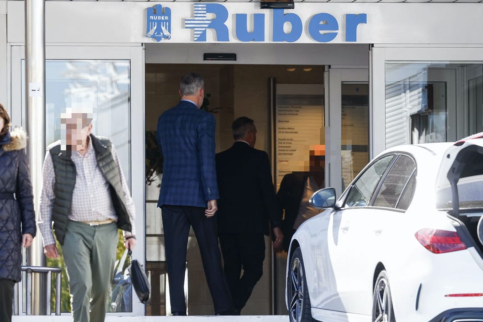 rey felipe vi