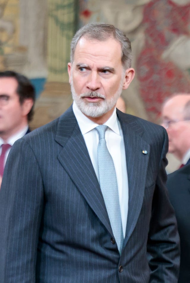 el rey felipe vi