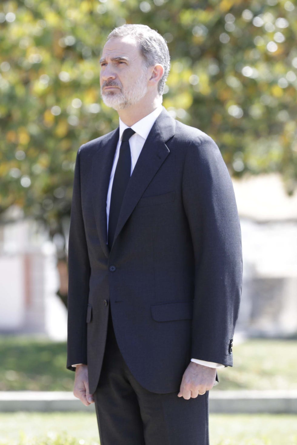 felipe vi