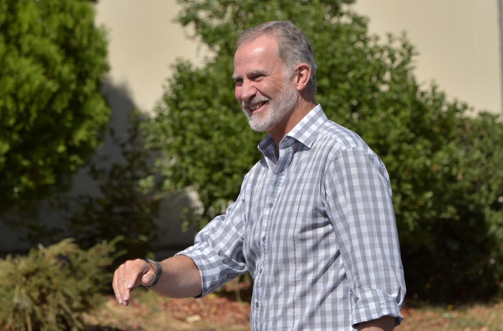 el rey felipe vi en su visita a las zonas afectadas por los incendios en galicia