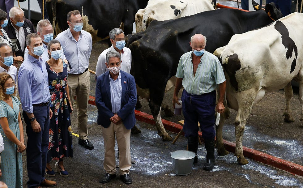 felipe y letizia con miguel Ángel revilla en el mercado de ganado de torrelavega en cantabria