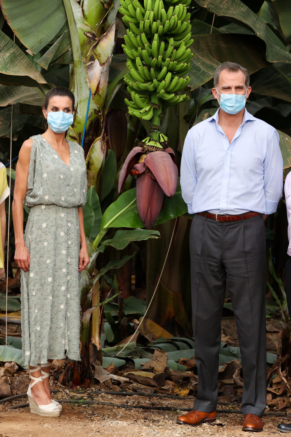 los reyes felipe y letizia en tenerife