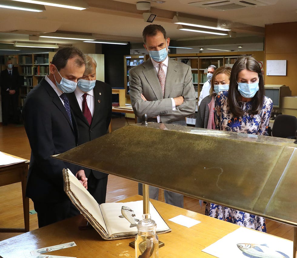 los reyes felipe y letizia visitan el museo de ciencias naturales de madrid