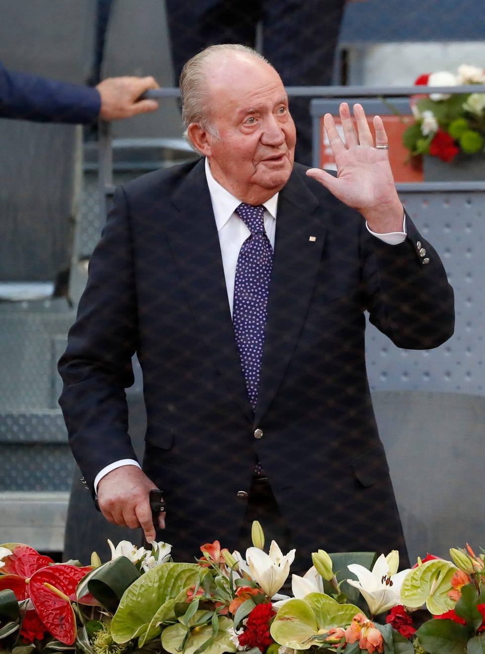 rey juan carlos de borbón