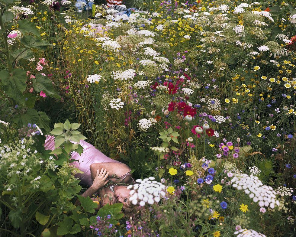 siân davey, the garden, ﻿pink dress, a garden with flowers