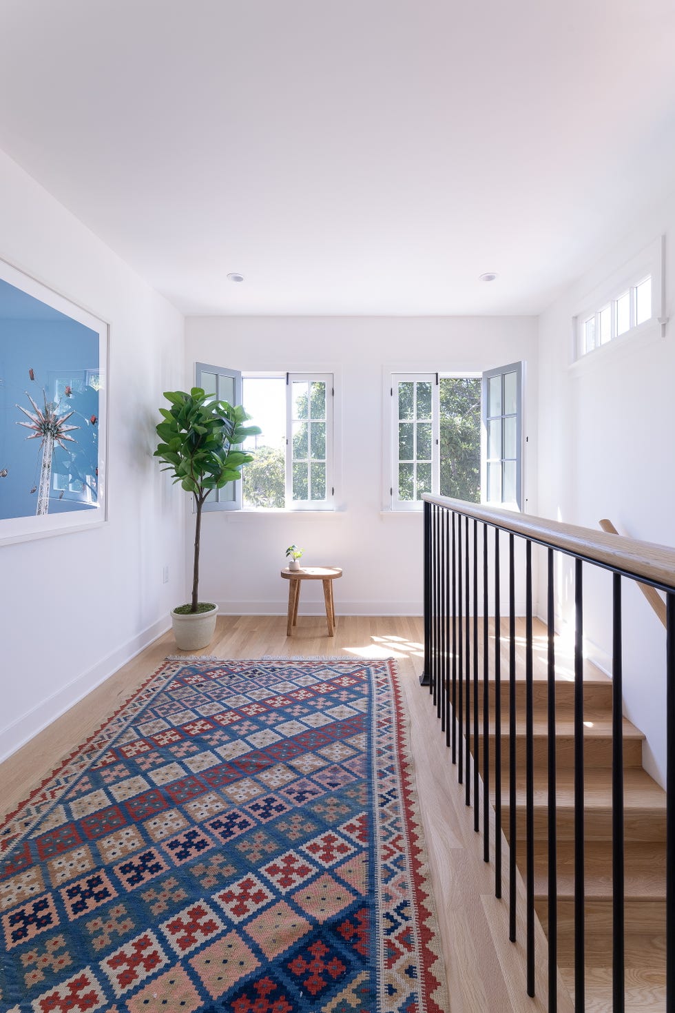 bright hallway with greenery and geometric runner rug