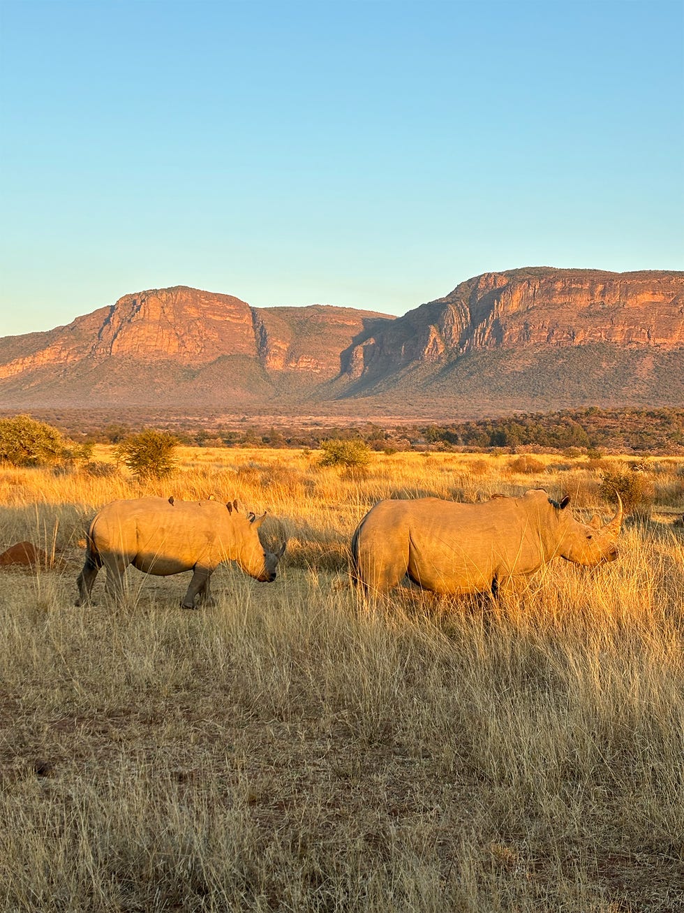 big five marathon