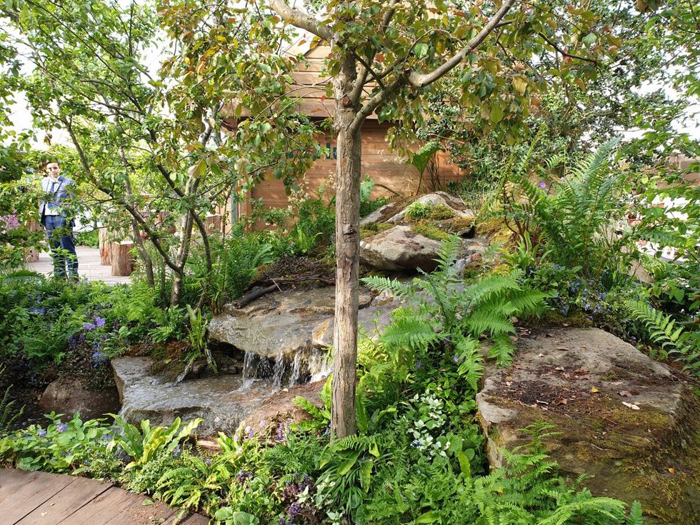 RHS Back to Nature Garden at the Chelsea Flower Show 2019