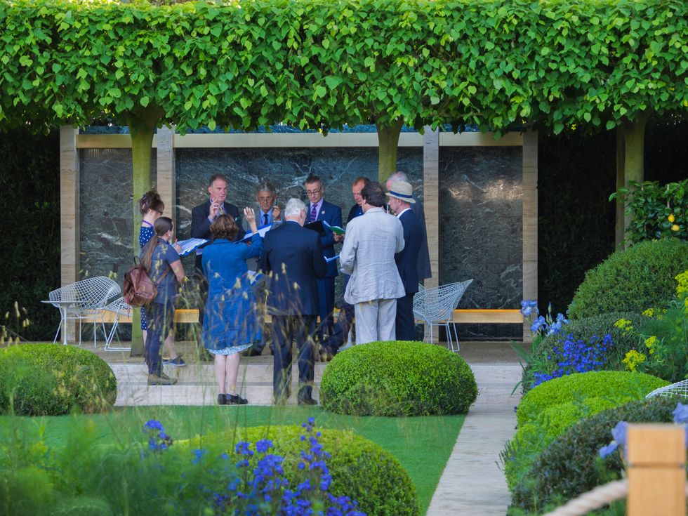 judges at the rhs chelsea flower show 2014