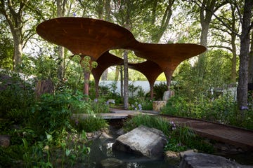 RHS Chelsea Flower Show - Winners, Show Gardens, Trends, Designers