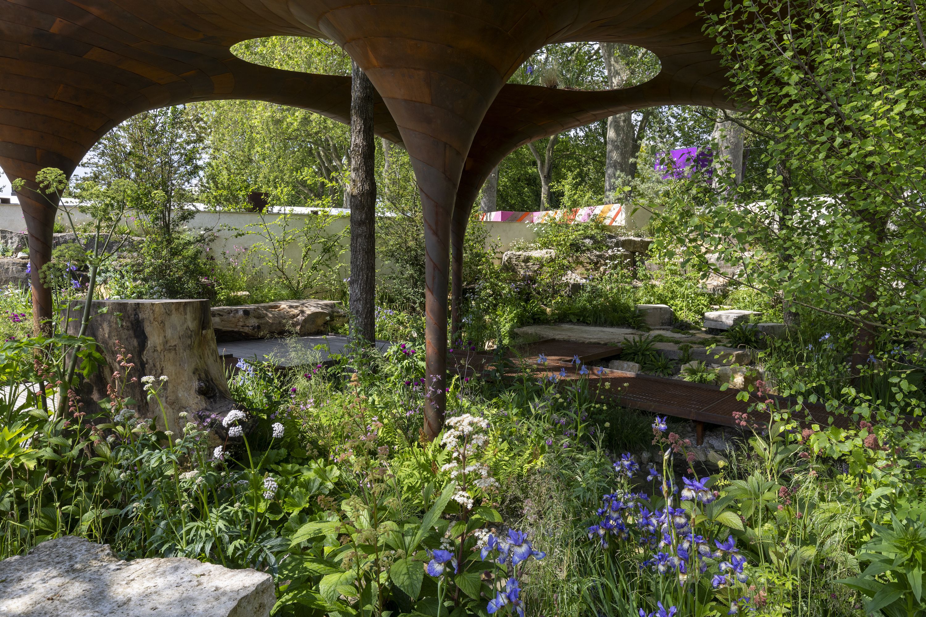 Chelsea Flower Show 2024: All 35 Gardens & Winners (Gold, Best In Show)