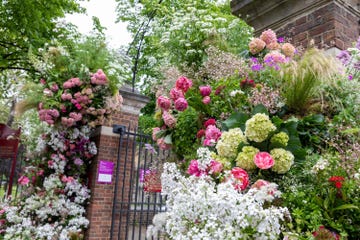 rhs flower shows, lucy vail floristry another blooming heatwave floral installation at rhs chelsea flower show 2023