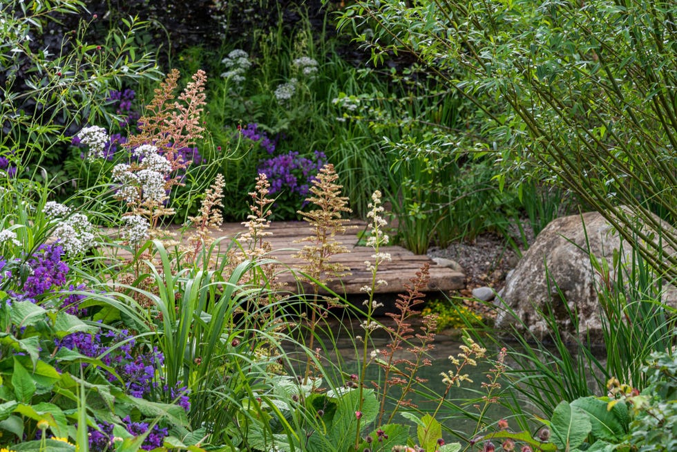 Rhs Hampton: How British Gardens May Look In The Future