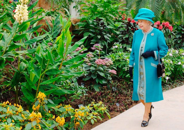 queen's green canopy