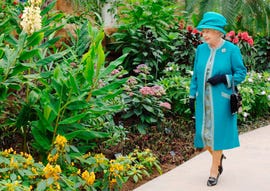 queen's green canopy