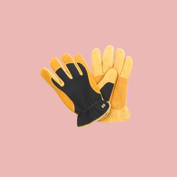 rhs winter touch gloves