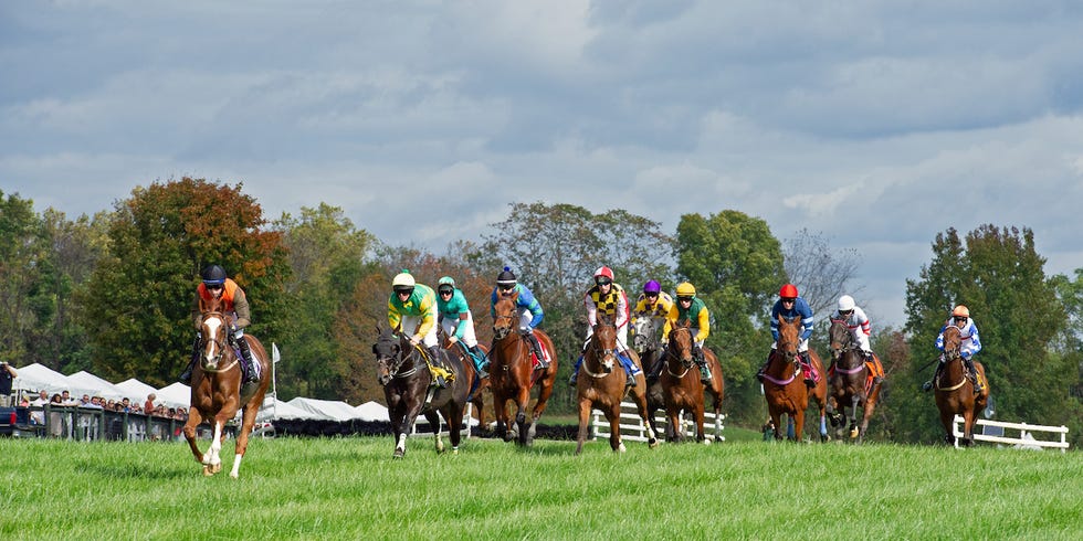 International Gold Cup Virginia Steeplechase Fall 2021