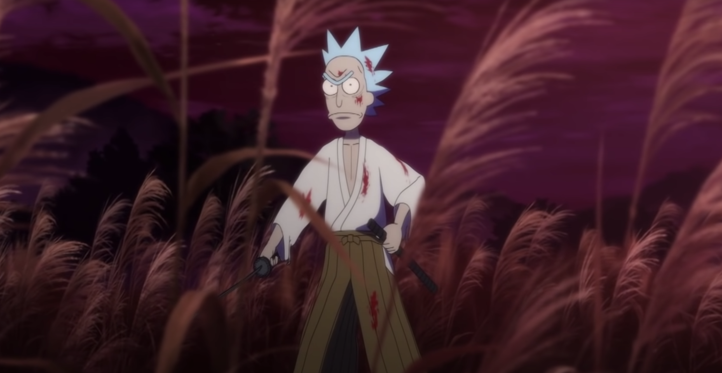 Rick And Morty The Anime Ninja Kamui Ordered By Adult Swim  Deadline