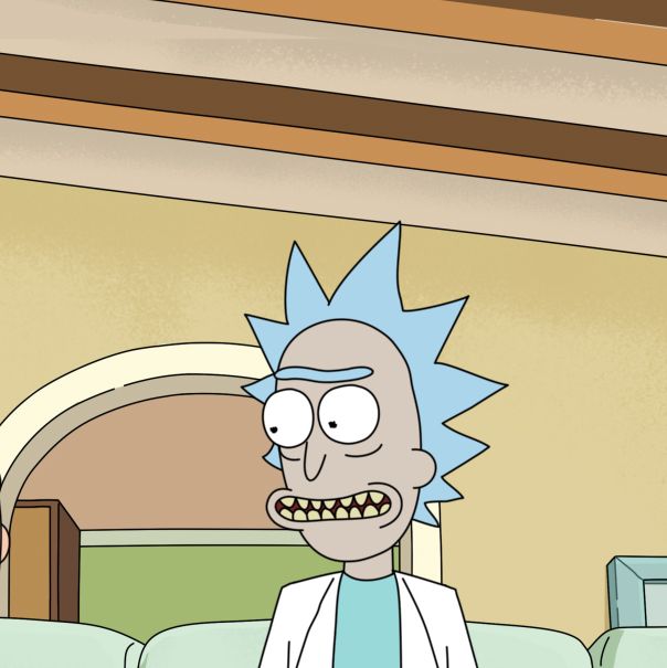 Never Watched 'Rick and Morty'? This Is What You Need to Know - The New  York Times