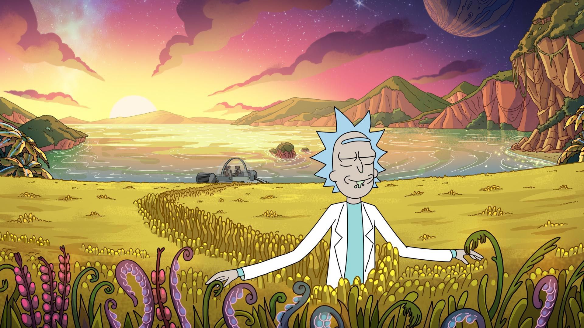 Were there any good theories on what Rick saw in the talking cats's  memories to make him look like this? : r/rickandmorty