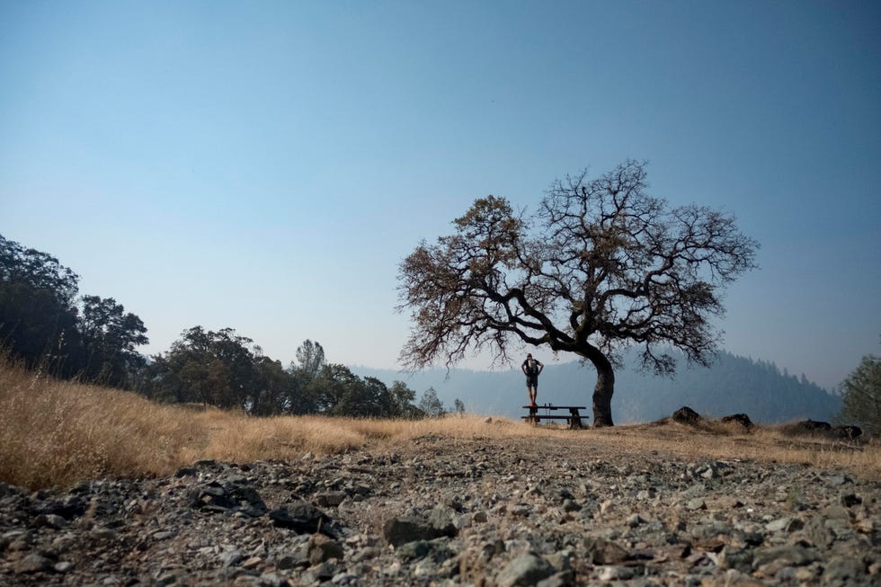 Rickey Gates looks out from a bench under a tree over a scenic, mountain view.