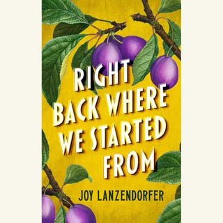 right back where we started from, joy lanzendorfer