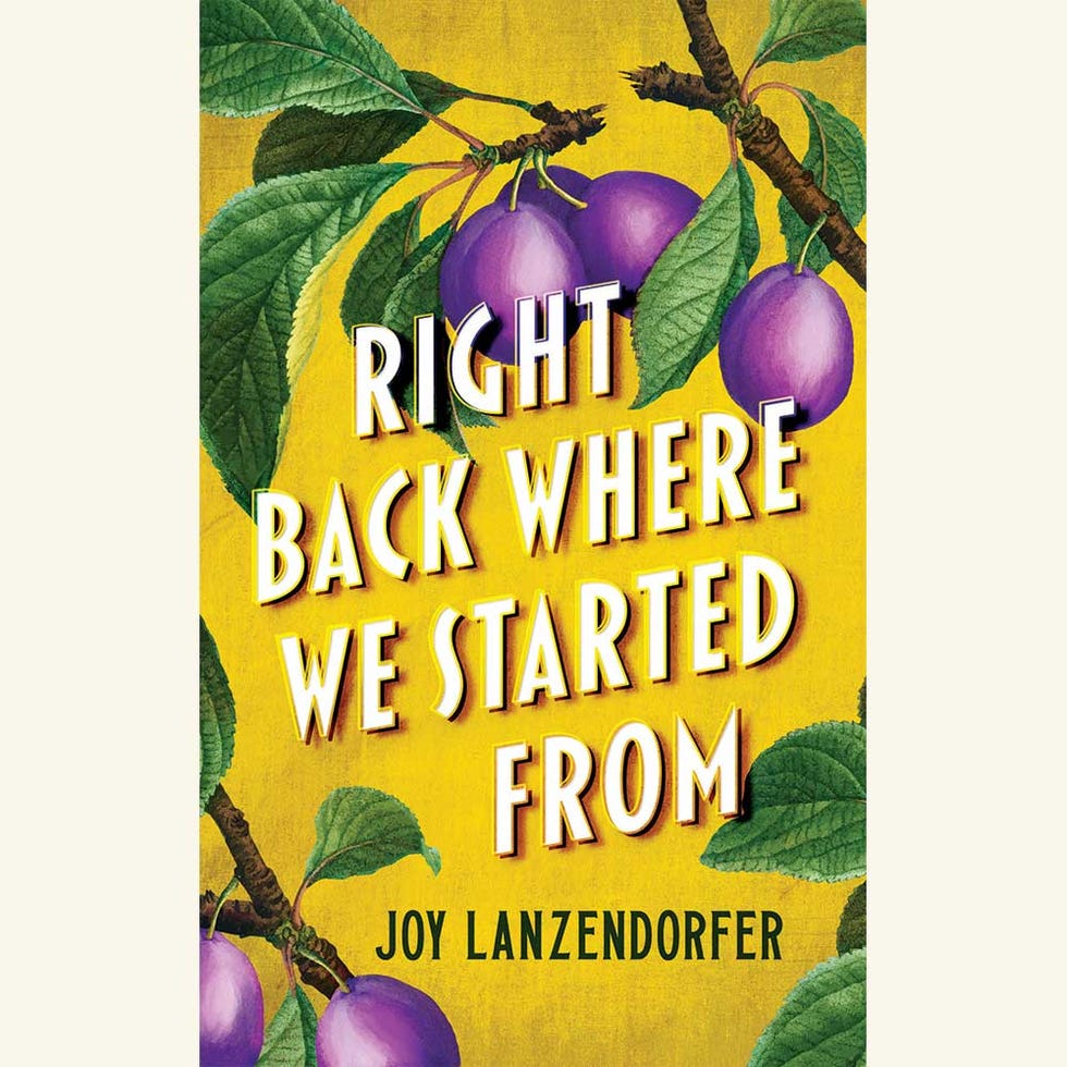 right back where we started from, joy lanzendorfer