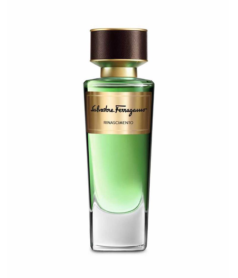 Perfume, Green, Bottle, Water, Fluid, Liquid, Glass bottle, Plant, Solution, Cosmetics, 