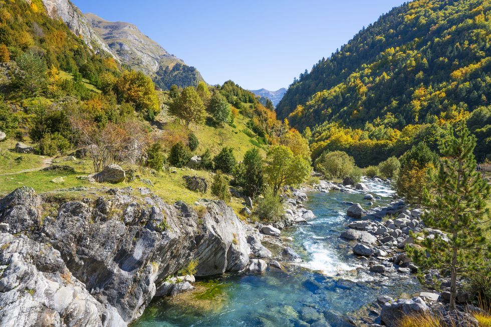 rio ara river in bujaruelo of ordesa valle de ordiso autumn at h