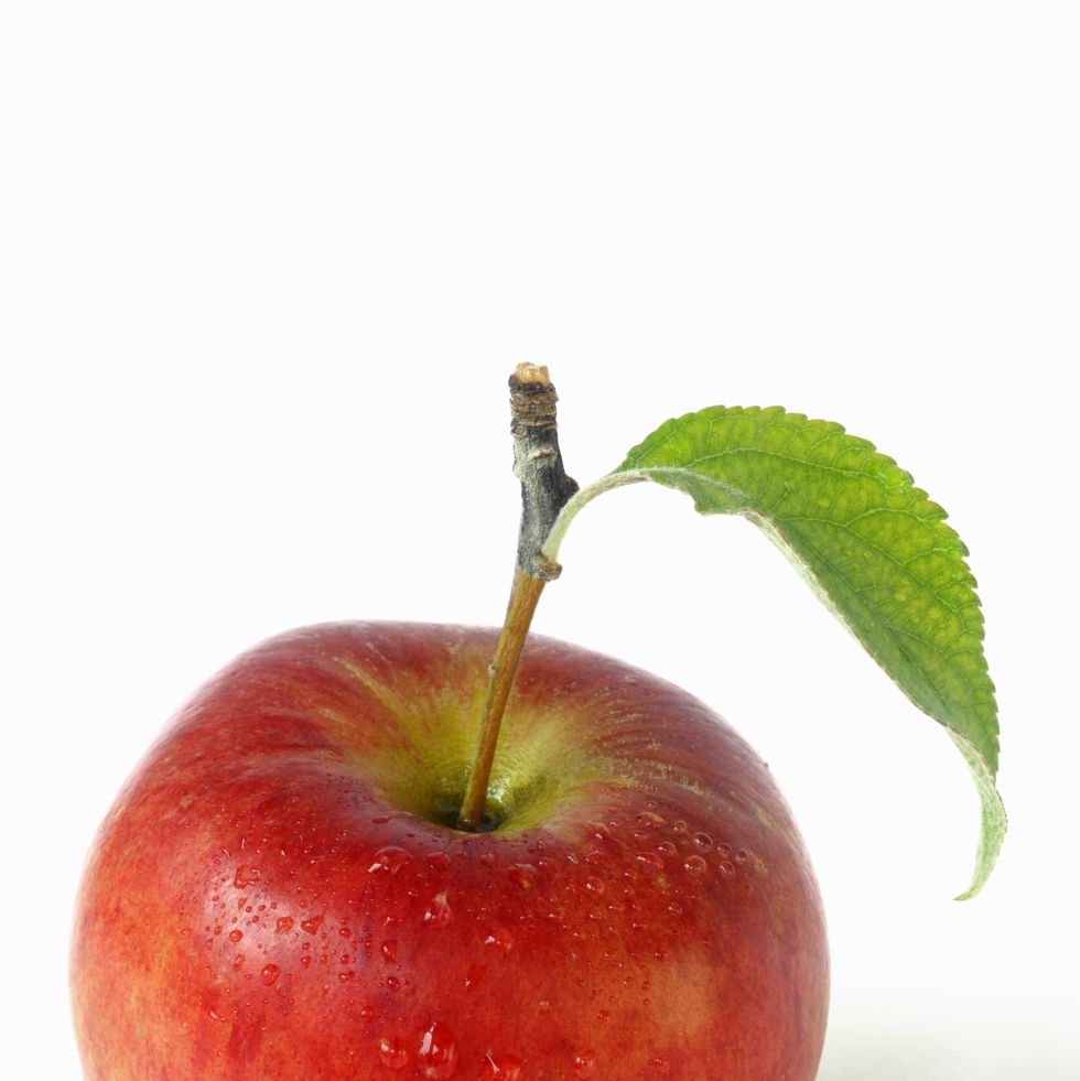 Types of Apples - Most Common Apple Varieties - Know Your Produce