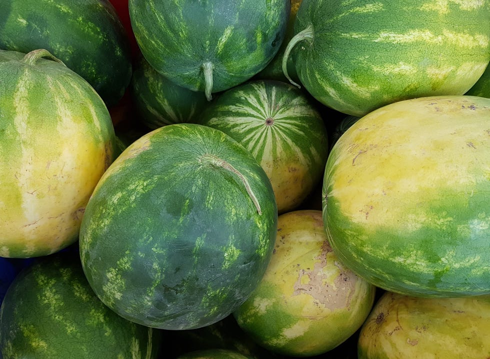 ripe big watermelons at themarket