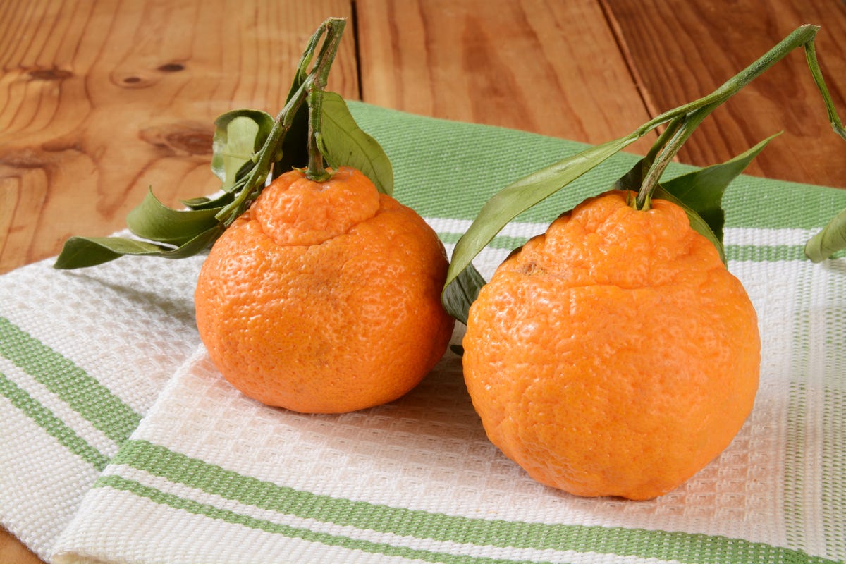 Here's Where To Buy The Sumo Citrus Oranges People Cannot Stop