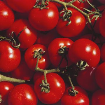 ripe tomatoes