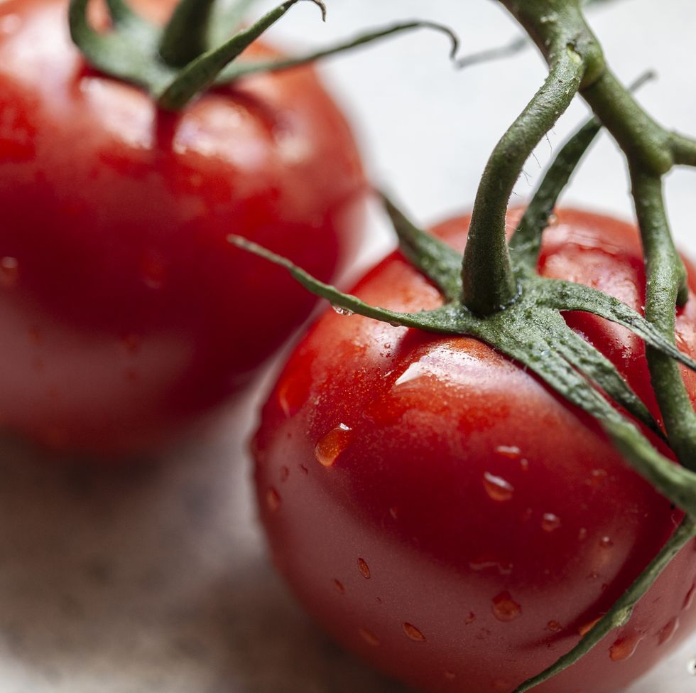 ripe vine tomato