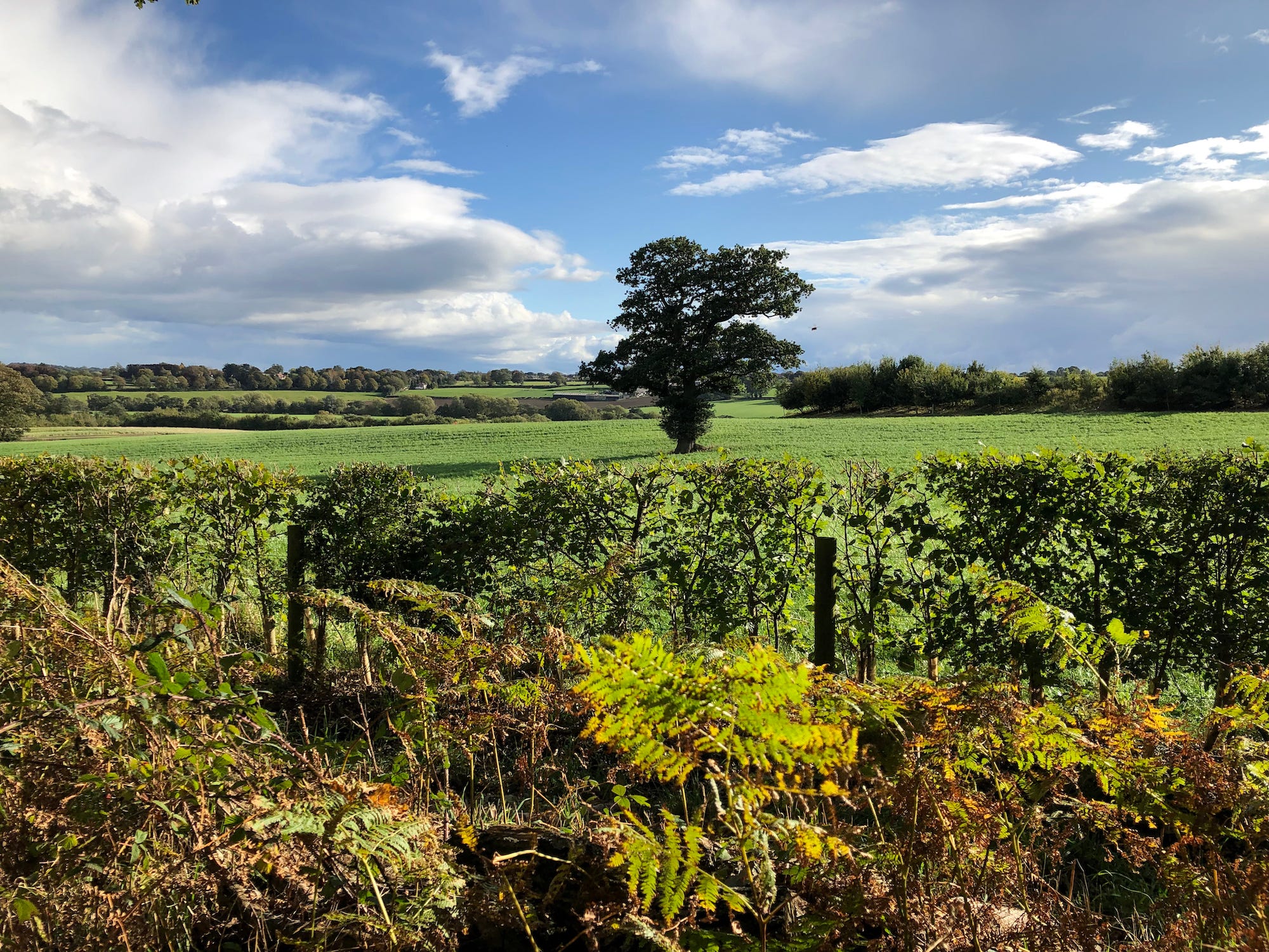 Ripley Castle For Sale After 700 Years Owned By Ingilby Family