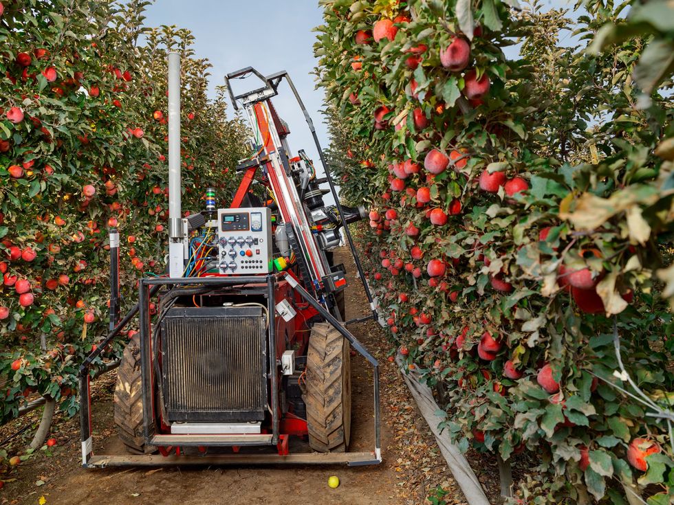 Een door Abundant Robotics ontwikkelde oogstrobot plukt met zuigkracht appels van de bomen in Grandview Washington Robots kunnen vrijwel net zo behendig en precies werken als mensen Met het huidige tekort aan menselijke arbeidskrachten in de landbouw is dat een uitkomst voor veel boerenbedrijven