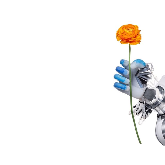 Aan de Technische Universiteit Berlijn pakt deze robothand met zijn pneumatische vingers  voorzichtig maar stevig  een bloem op Dankzij de voortschrijdende technologie krijgen robots steeds meer menselijke vaardigheden