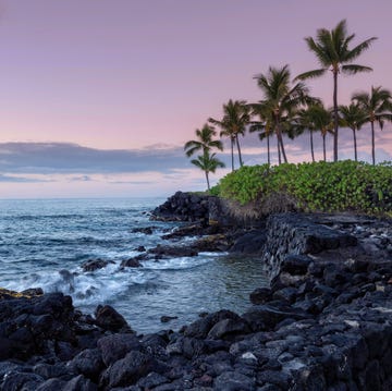 A rising sun illuminates a lava strewn shoreline on the Kona coast of the island of Hawaii as palm tree sway in the wind. hawaii kona