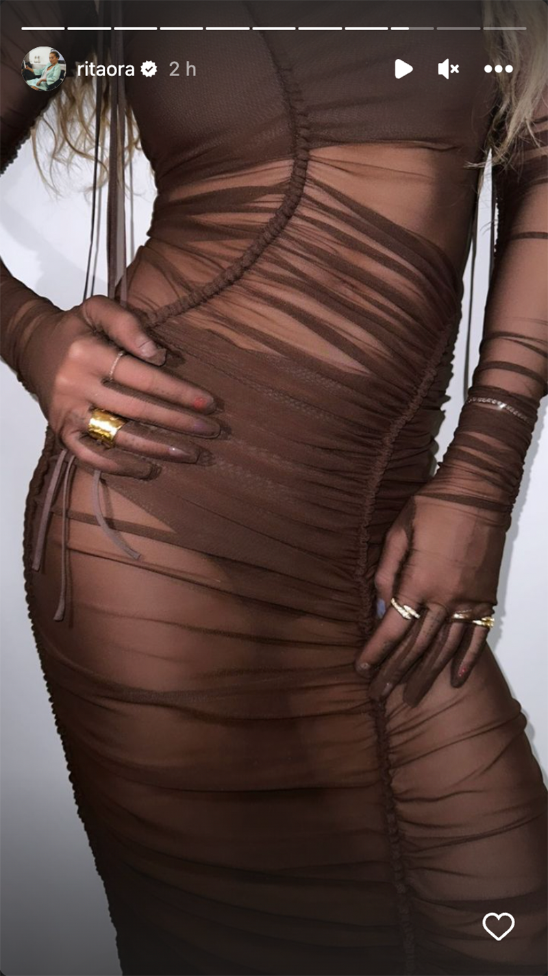 Holiday Steal- Sheer Chicness Long Sleeve Mesh Bodysuit (Nude