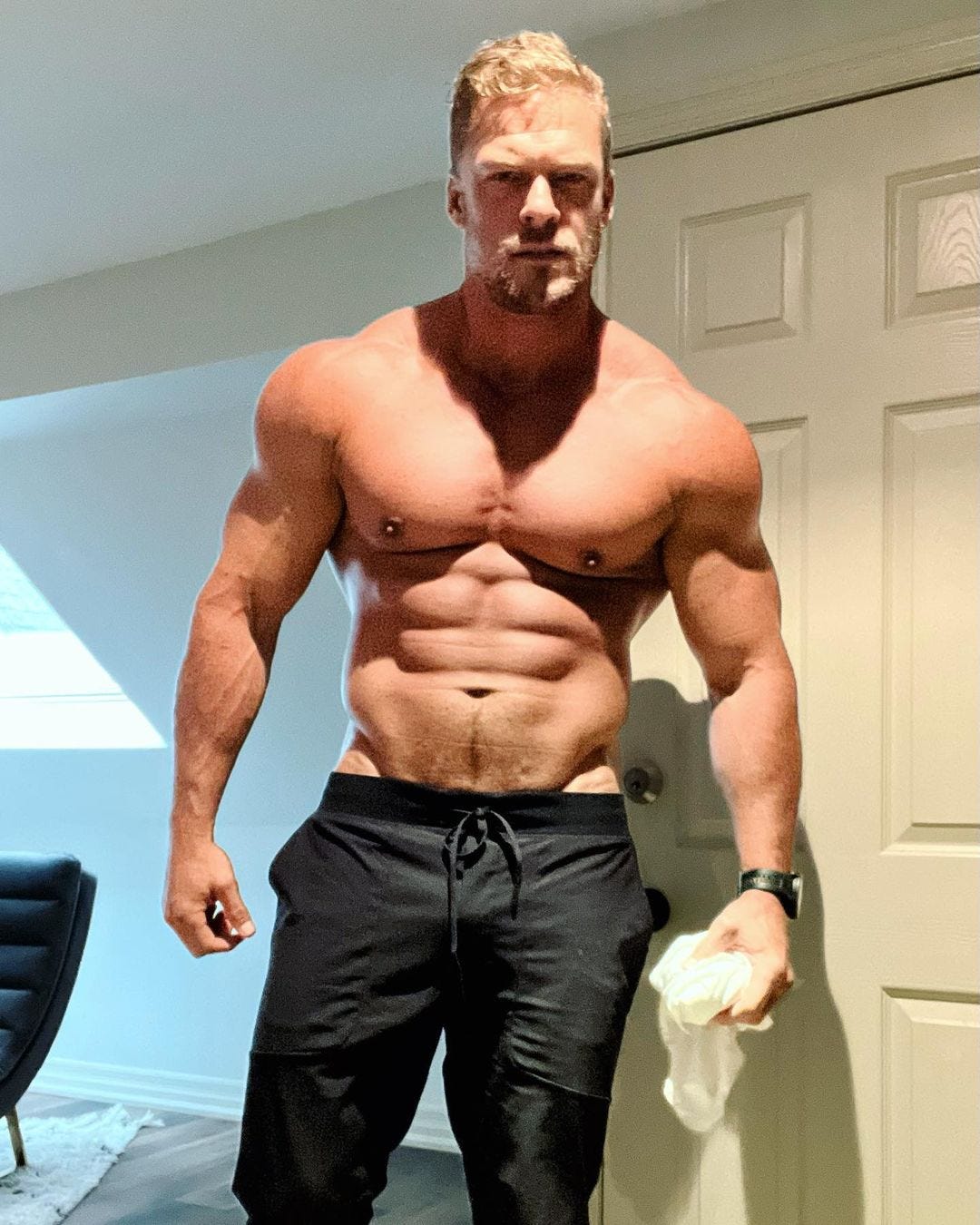 Alan ritchson muscles