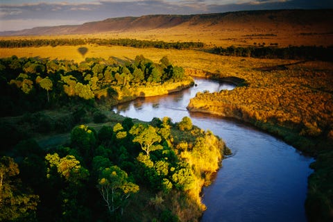 river in masai mara national reserve