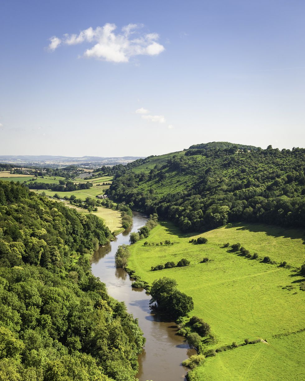 clear blue sky with one white cloud over the vibrant summer foliage and green meadows of this picturesque valley with the river wye meandering slowly through the forest of dean, rural gloucestershire, herefordshire countryside and the rolling patchwork landscape of the welsh borders prophoto rgb profile for maximum color fidelity and gamut